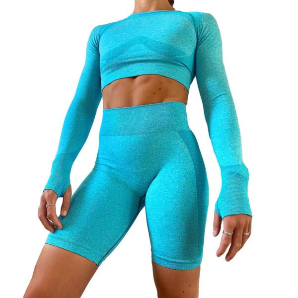Long-sleeved Yoga Set Women Seamless Gym Tops Shorts - Image 4